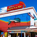 Ripley's Believe It or Not!
