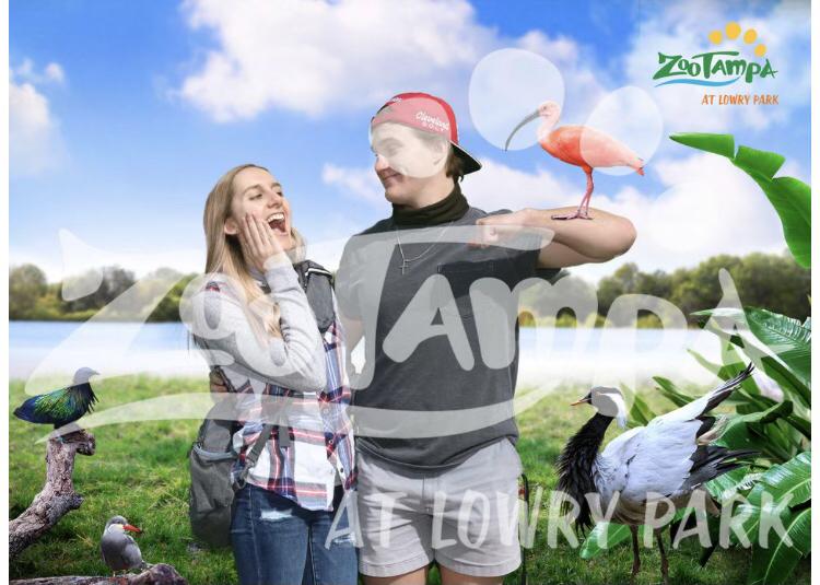 Visiting ZooTampa