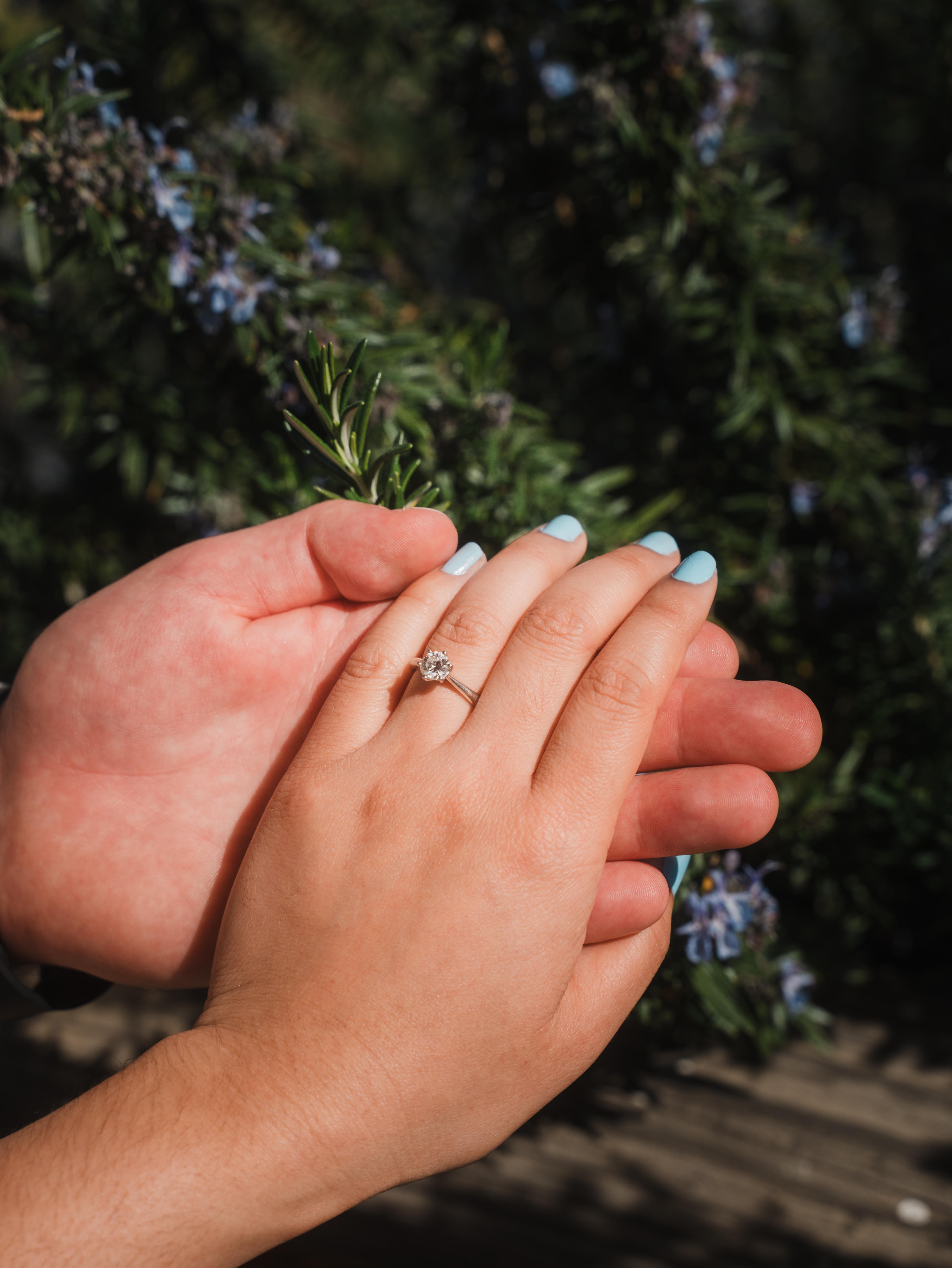 The Wedding Website of Sergei Muravskii and Hannah Hankins