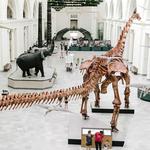 Field Museum