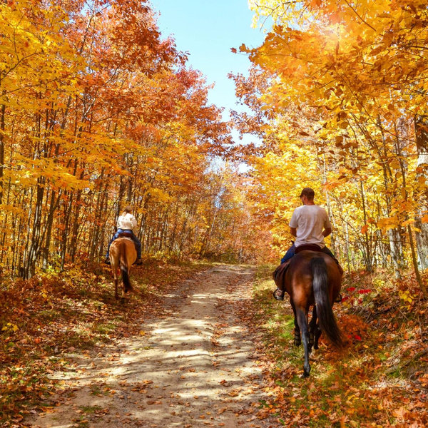 Fall - Day Date