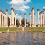United States National Arboretum