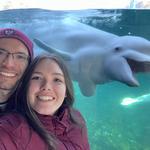 Mystic Aquarium and Seaport