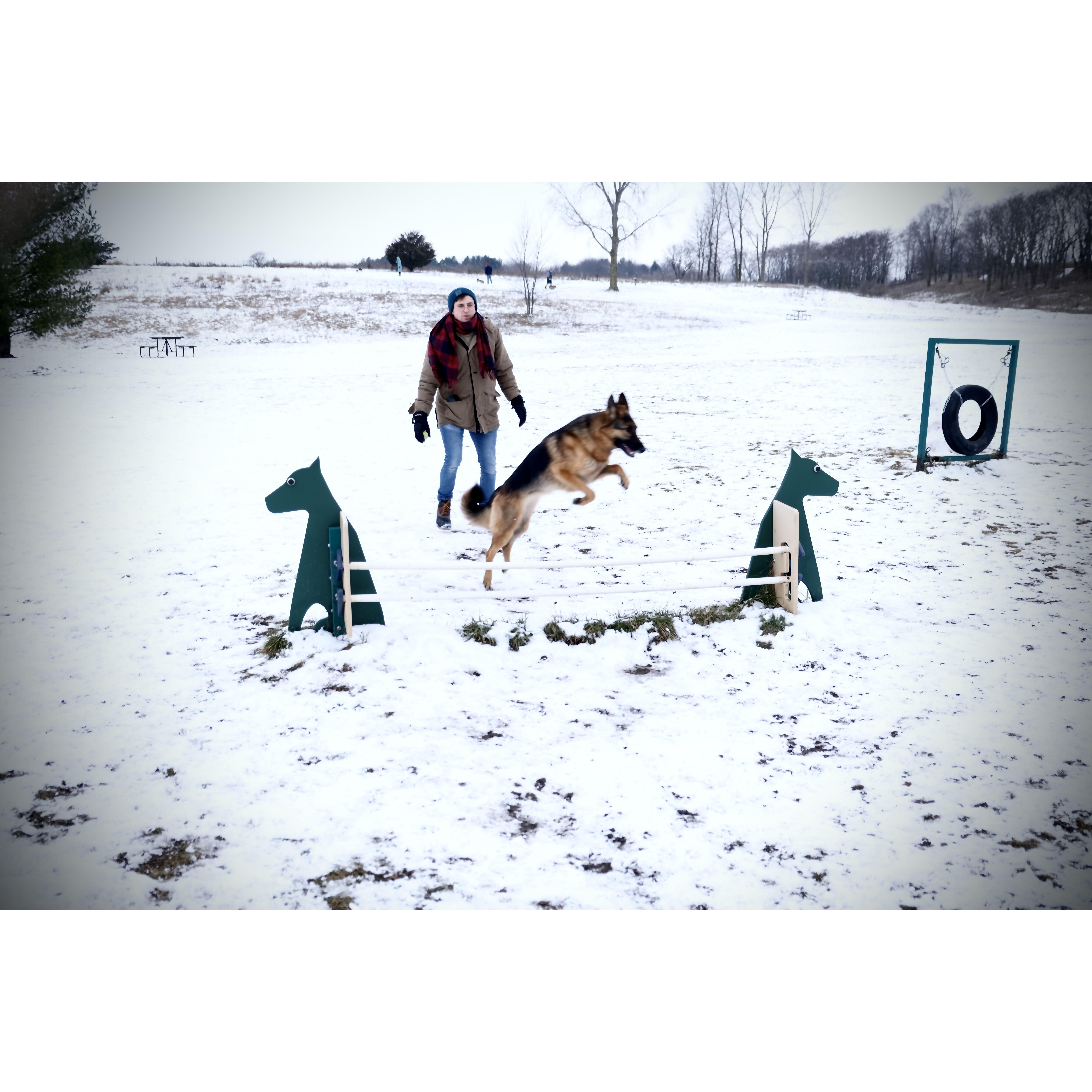 2024 - one of MANY trips to our second favorite dog park (badger prairie). Ft. the tire T and J found at lake Michigan, brought back, and hung.