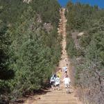 The Incline