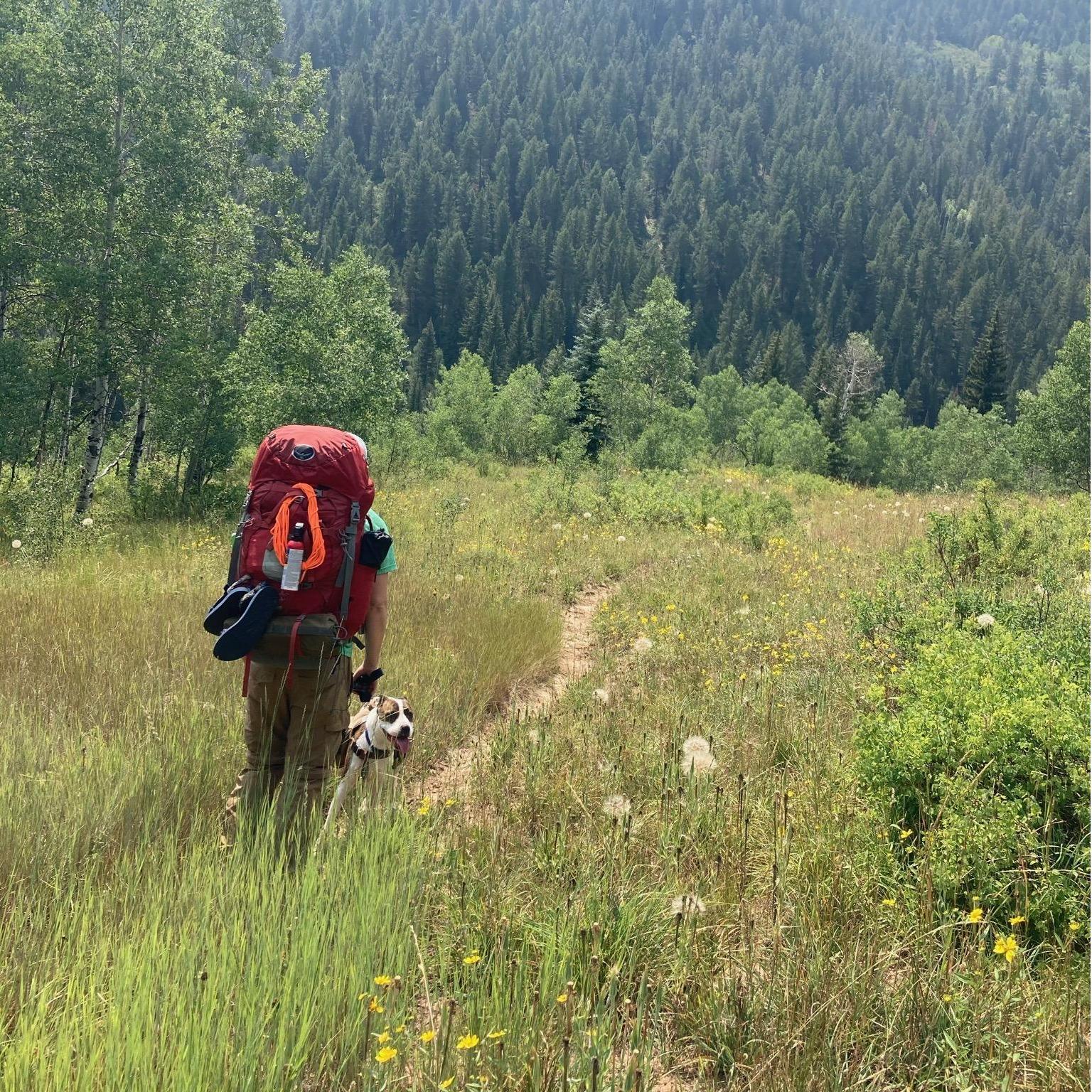On a trail in the Colorado backcountry outside of Crested Butte