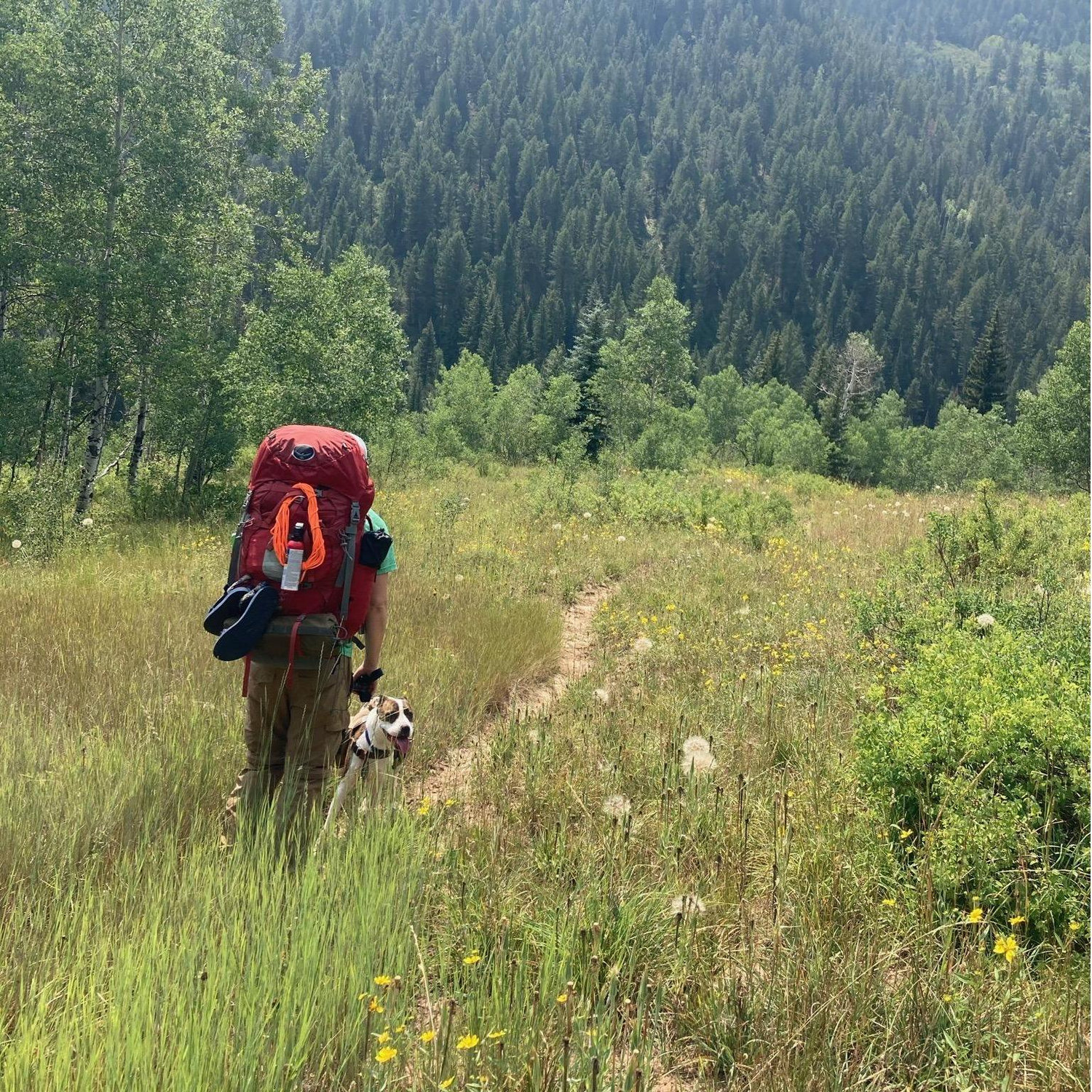 On a trail in the Colorado backcountry outside of Crested Butte