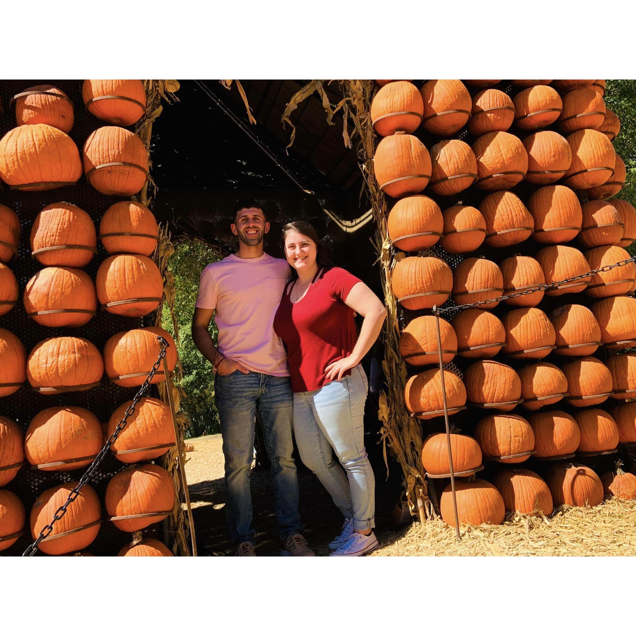 2022: At the Dallas Arboretum for their pumpkin display photo ops.