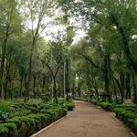 Parque México