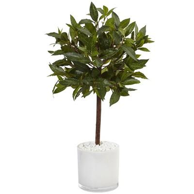 2ft Artificial Sweet Bay Tree in White Glossy Cylinder - Nearly Natural
