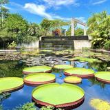 Naples Botanical Garden