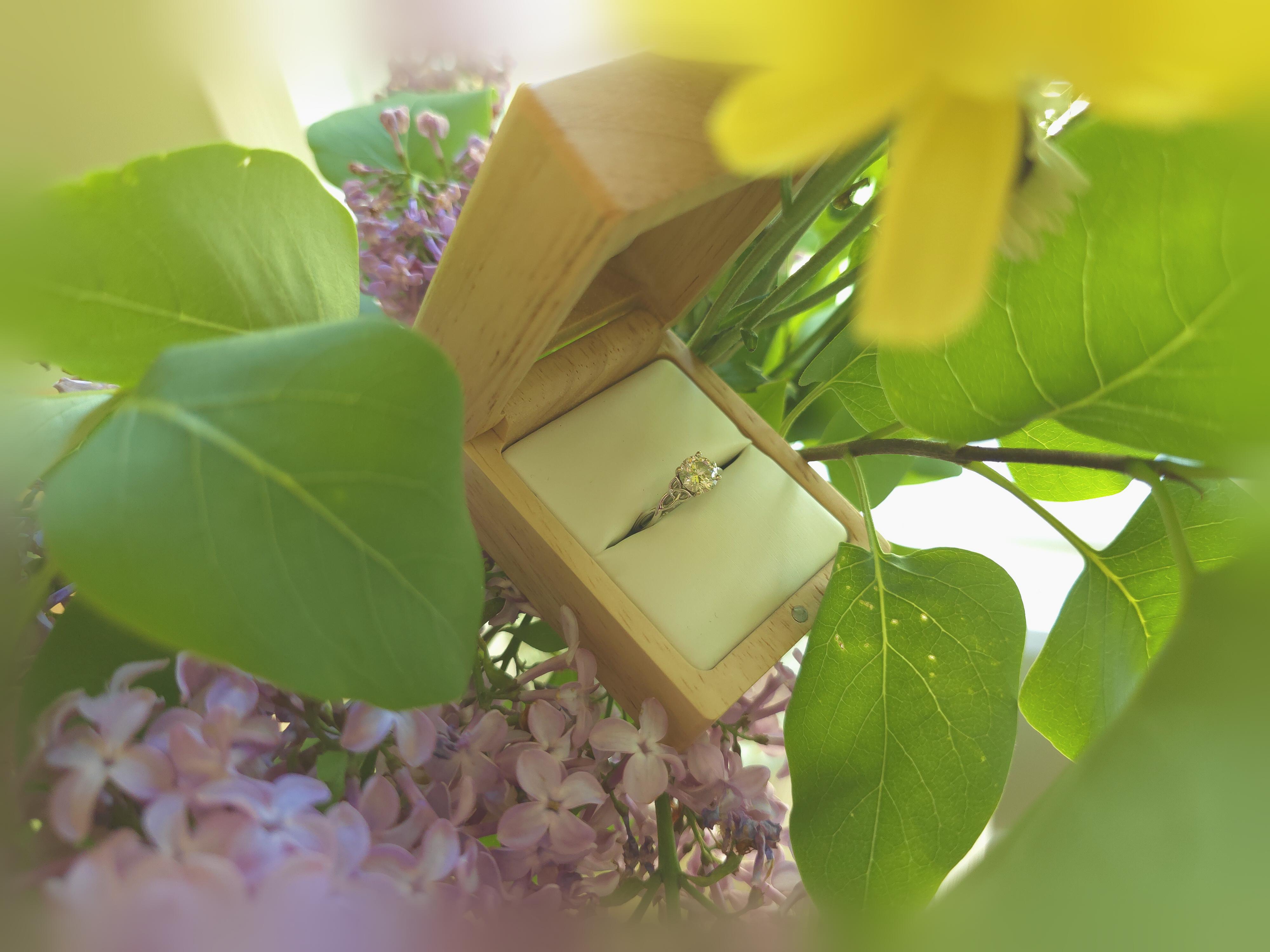 The Wedding Website of Joel Plunkett and Olivia Correa