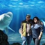 Mystic Aquarium