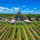Augusta Vin
