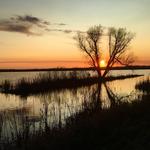 Horicon Marsh