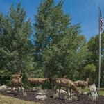 Path of the Pronghorn Bronze Sculpture