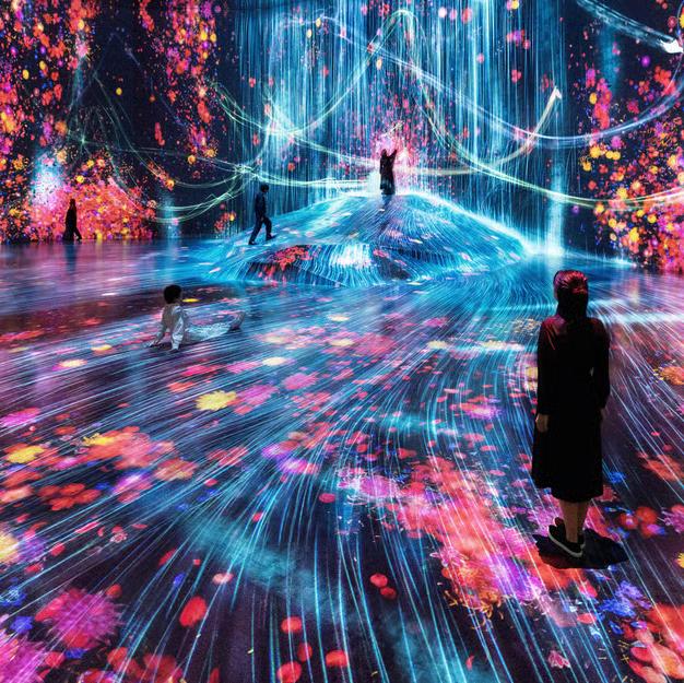 Tokyo: teamLab Borderless - Tickets for (2)