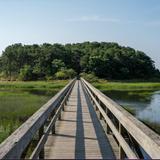 Uncle Tim's Bridge