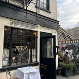 Anton's