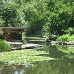 Alfred Caldwell Lily Pool