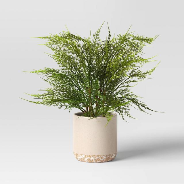 Small Artificial Asparagus Fern - Threshold™