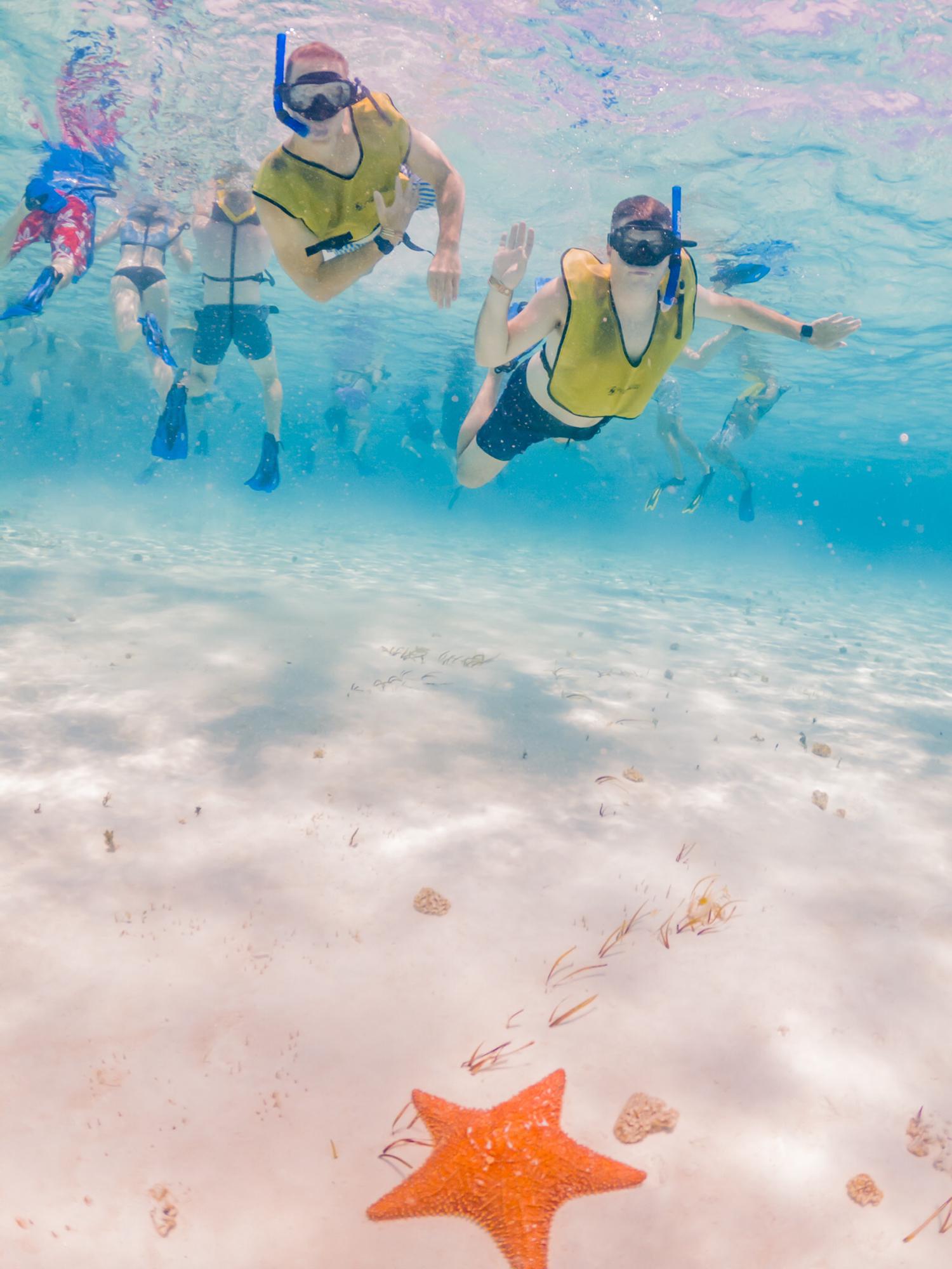 Snorkeling in the Caribbean