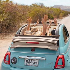 Car Rental on Honeymoon