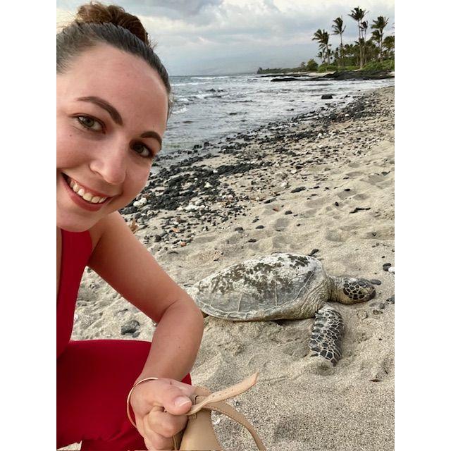 Hillary loves sea turtles...some would say a bit too much.