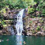 Waimea Valley