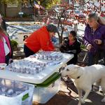 Brown County Chocolate Walk