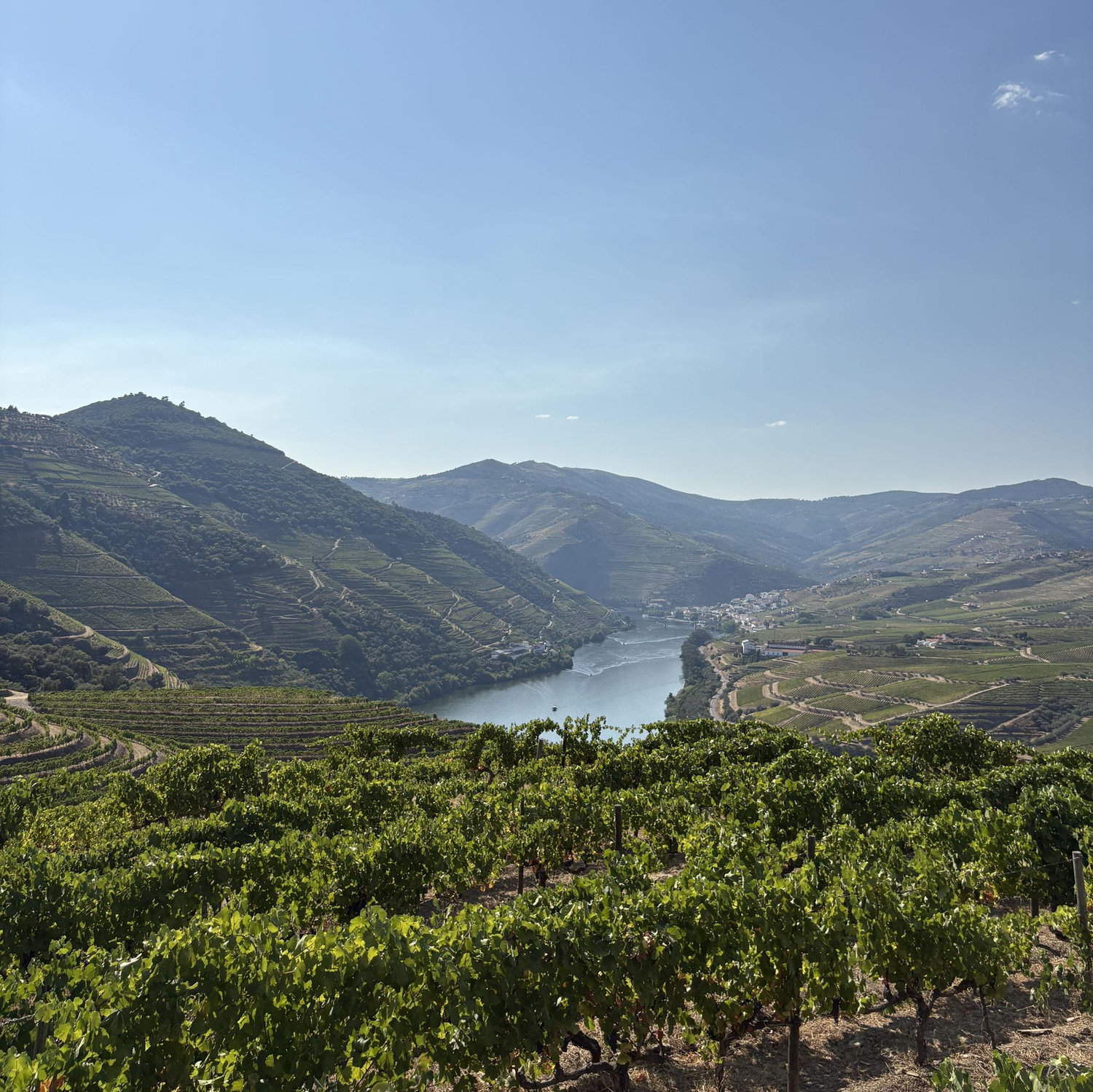Douro Valley, Portgual