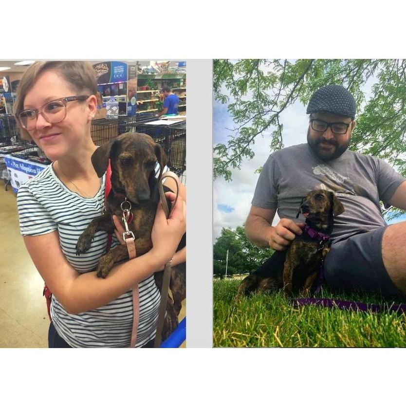 Minnie's Gotcha Day!