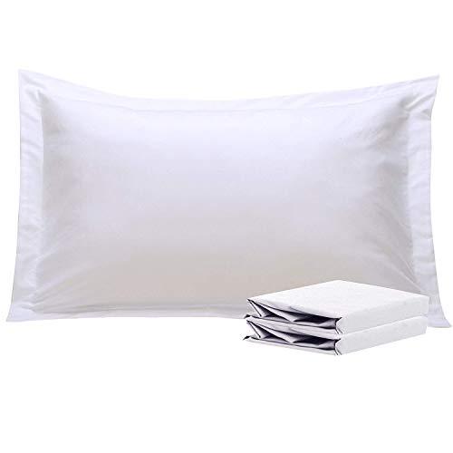 NTBAY King Pillow Shams, Set of 2, 100% Brushed Microfiber, Soft and Cozy, Wrinkle, Fade, Stain Resistant (King, White)