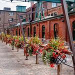 Distillery District