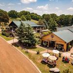 Arrington Vineyards