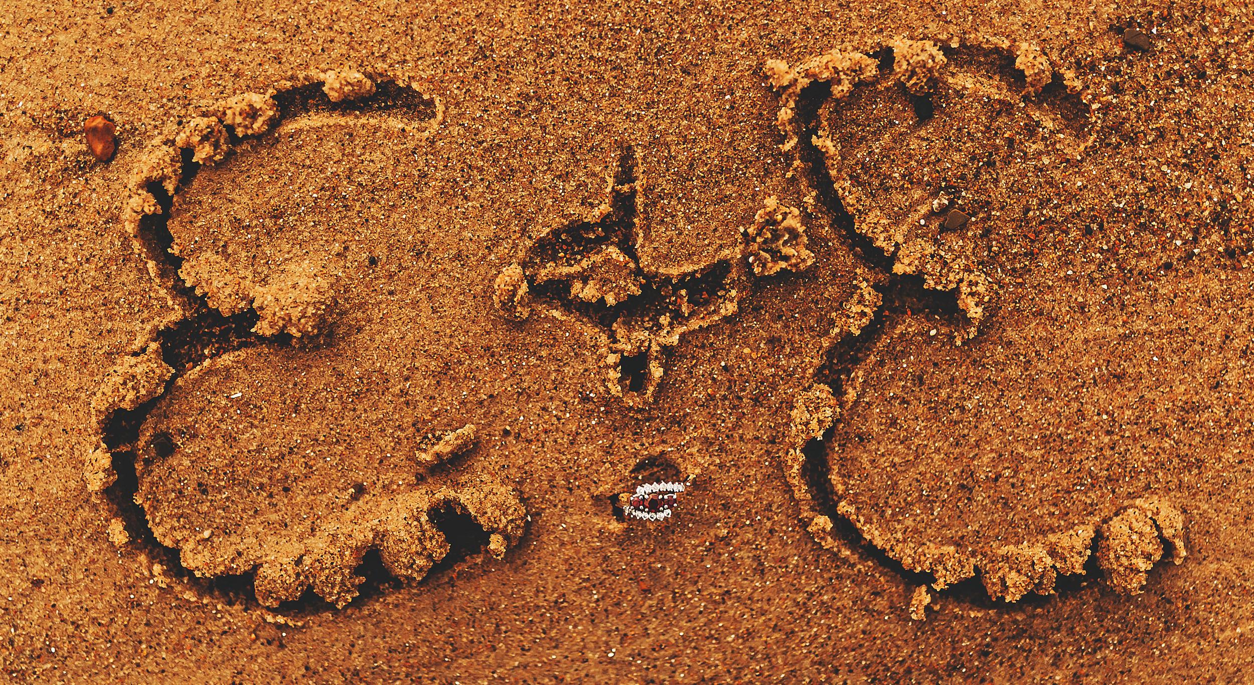 Footer image