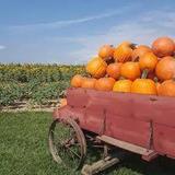 Ramseyer Farms