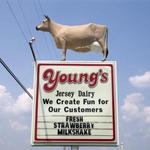 Young's Jersey Dairy