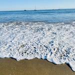 Butterfly Beach