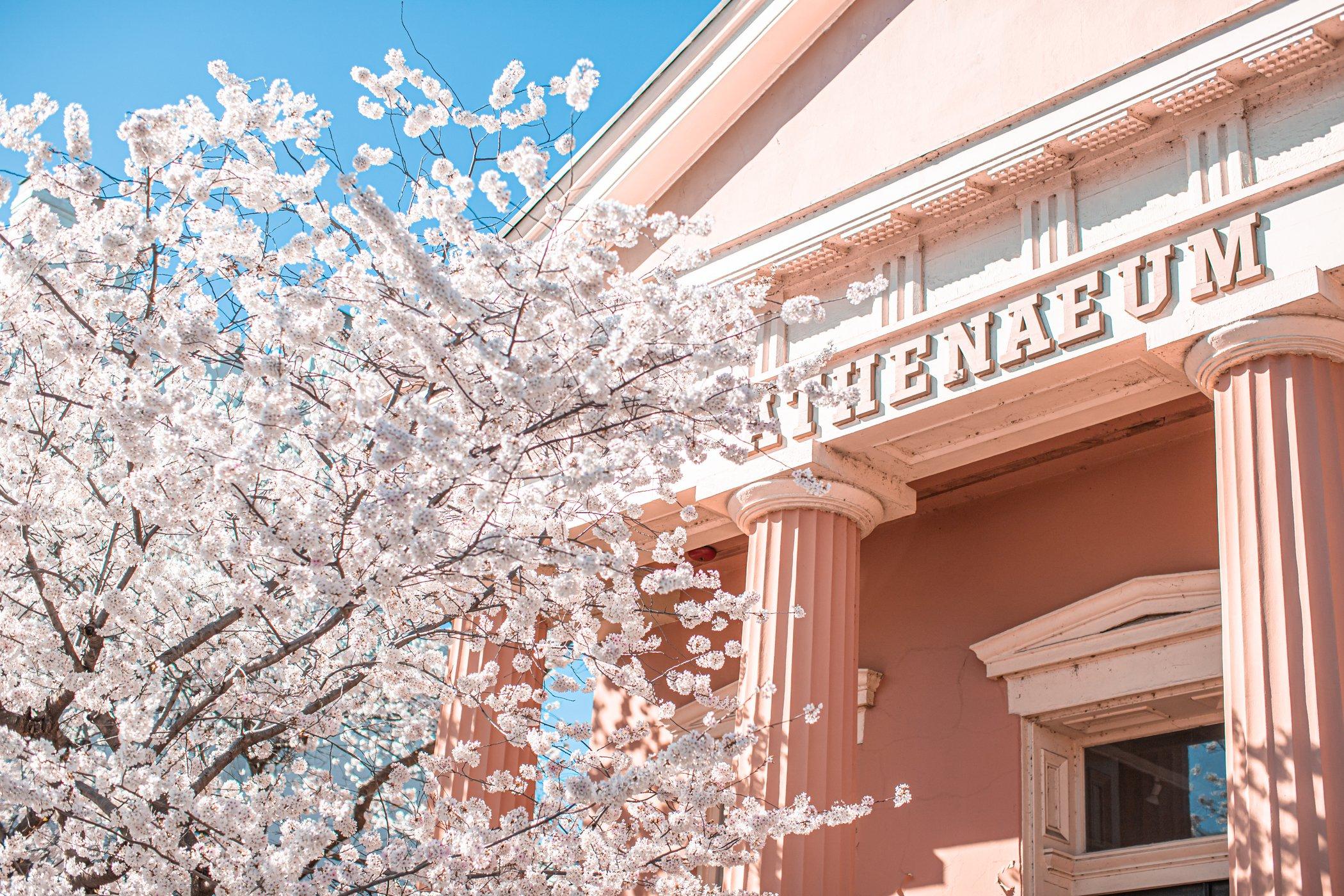 The Wedding Website of Alex Ditthavong and Ryan Robinett