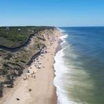 Beachcomber in Wellfleet