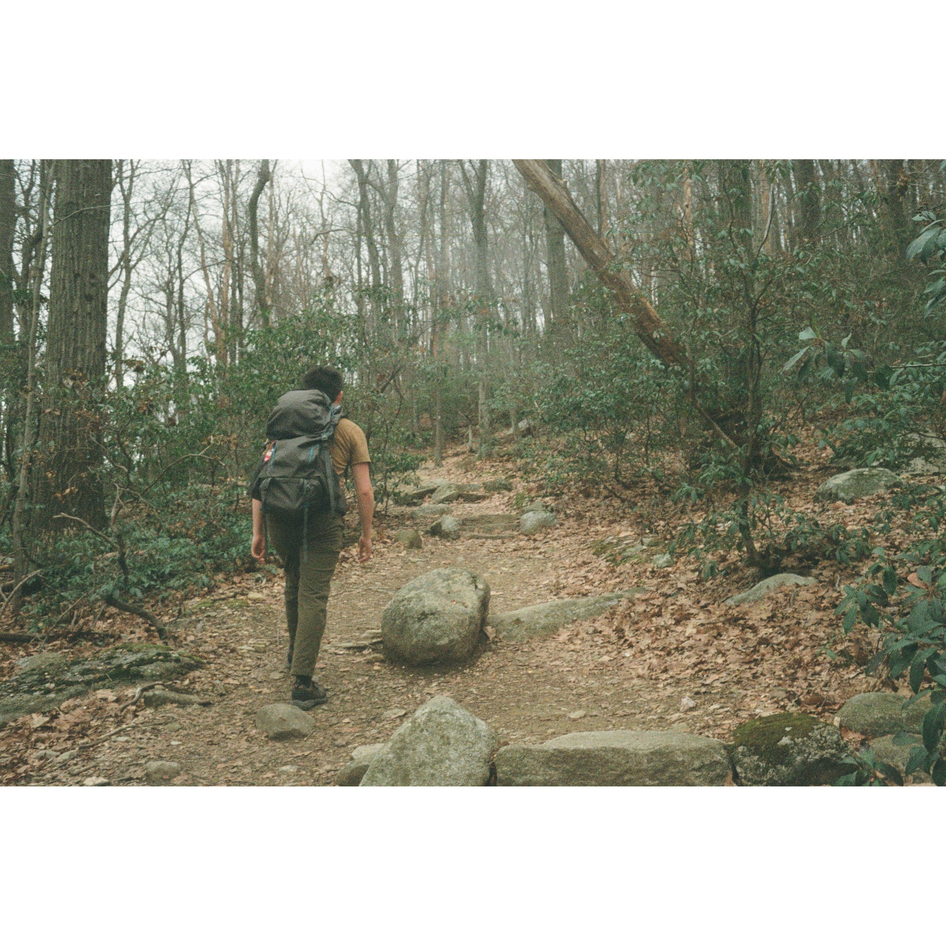 Seb on the engagement hike