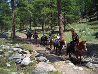 Jackson's Stables Inc