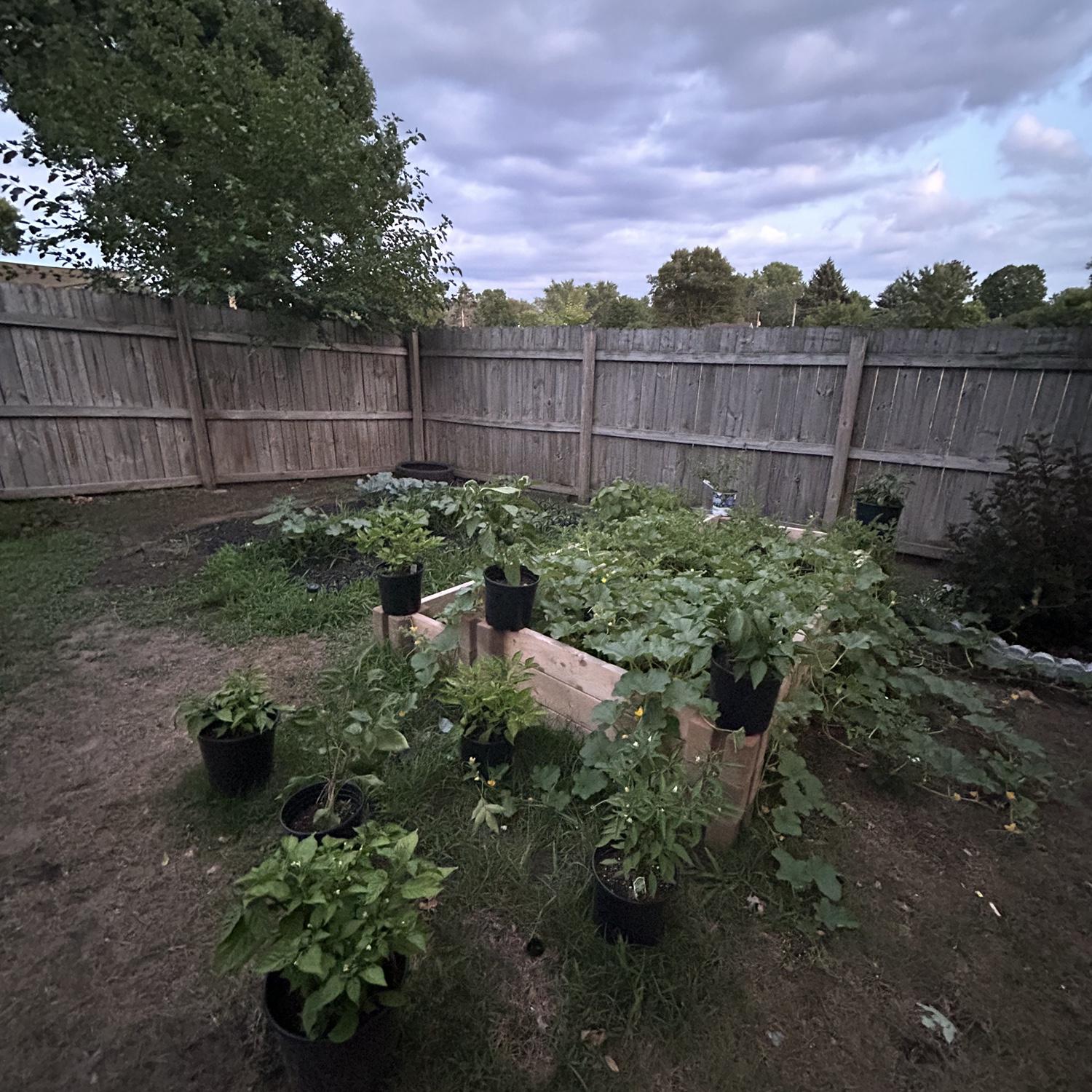 Our garden! 
July 2023