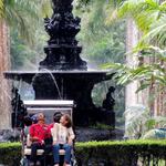 Botanical Garden of Rio de Janeiro
