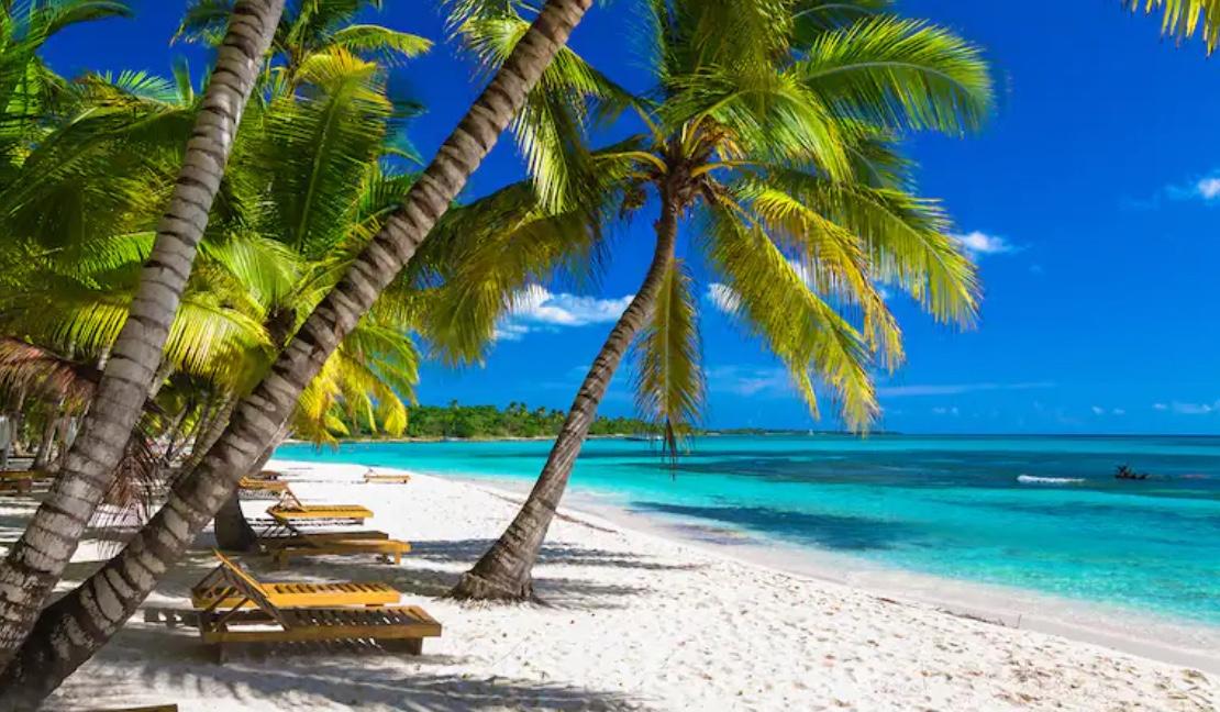 The Wedding Website of Abigail Boateng and William Hallett