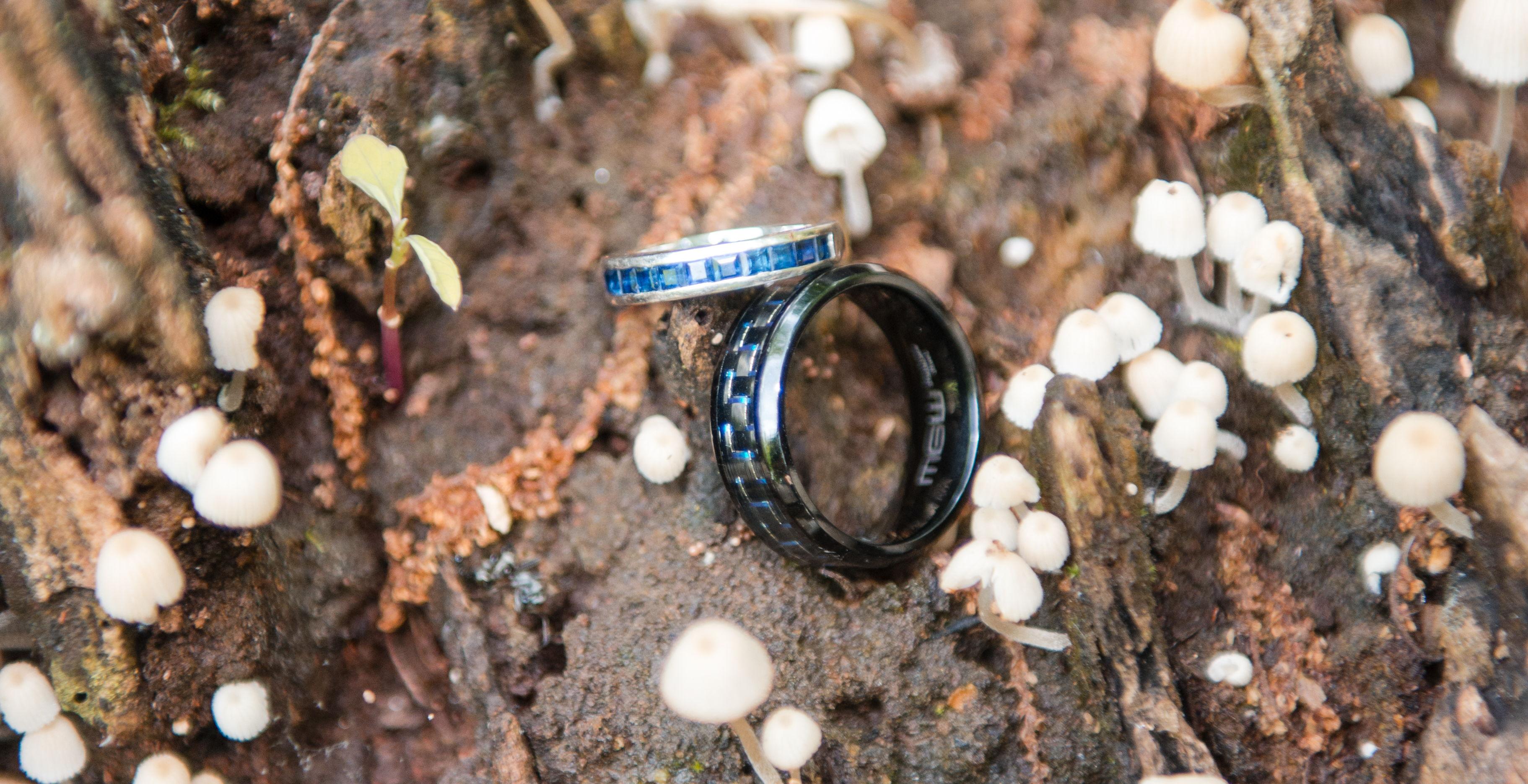 The Wedding Website of Lawren Adams and Hayden Leak