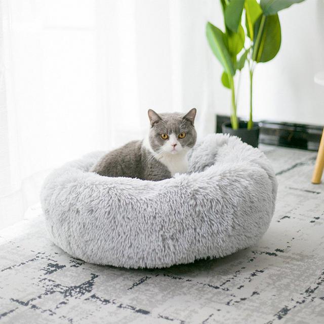 Allison Designer Round Cat Bed