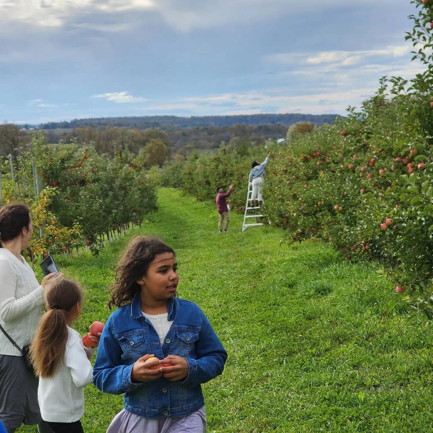 Apple picking 🍎🍏