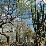 Brooklyn Botanic Garden